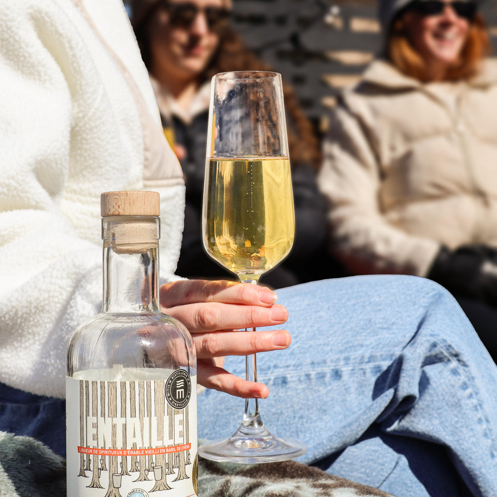 Mimosa du terroir